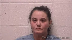 Mugshot of Heidi Taylor booked in Robertson County, Tennessee on September 20, 2026