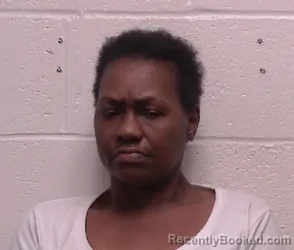 Mugshot of Kenya Levette Terry booked in Robertson County, Tennessee on May 15, 2026