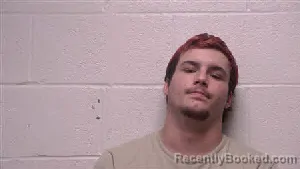 Mugshot of Preston Aaron Edwards Teets booked in Robertson County, Tennessee on July 27, 2026