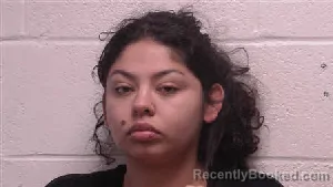 Mugshot of Brenda Vega booked in Robertson County, Tennessee on July 31, 2026