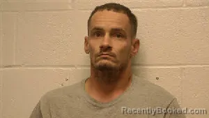 Mugshot of Michael R Whisman booked in Robertson County, Tennessee on May 11, 2026