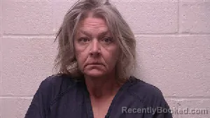 Mugshot of Shannon Denise Wilson booked in Robertson County, Tennessee on June 10, 2026
