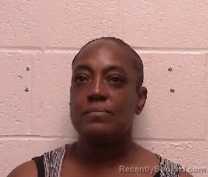 Mugshot of Joy Lynn Young booked in Robertson County, Tennessee on June 13, 2026