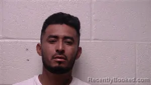 Mugshot of Adonis Santana Zarate booked in Robertson County, Tennessee on April 8, 2026