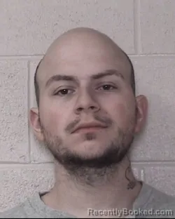 Mugshot of AUSTIN L HORTON