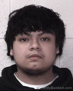 Mugshot of JAN A SOLIS TORRES