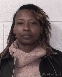 Mugshot of TERRA N MCDOWELL