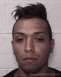 Mugshot of VITELIO LANDAVERDE-VENTURA