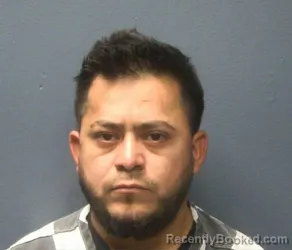 Booking photo from Sevier County, Tennessee