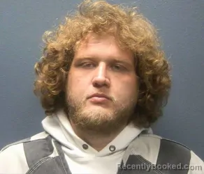 Mugshot of BOBBY A YOUNG booked in Sevier County, Tennessee on April 2, 2026