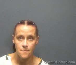 Mugshot of MICHELLE MARIE SHELLY booked in Sevier County, Tennessee on June 24, 2026