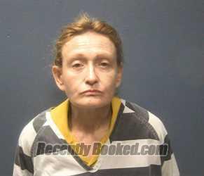 Mugshot of TISHA JERI HENRY-REED booked in Sevier County, Tennessee on July 2, 2026