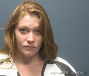 Mugshot of Reyanne Danielle Tipton booked in Sevier County, Tennessee on August 2, 2026