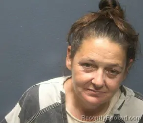 Mugshot of BRENDA ANN WILLIAMSON booked in Sevier County, Tennessee on April 25, 2026