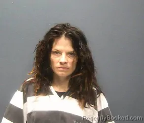 Mugshot of SHAWNA FAYE PERRY booked in Sevier County, Tennessee on April 25, 2026