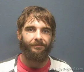 Mugshot of Tyler Donlee Truesdale booked in Sevier County, Tennessee on August 2, 2026