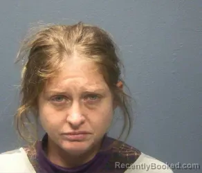 Booking photo from Sevier County, Tennessee