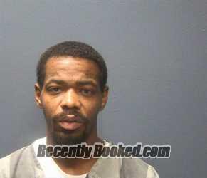Mugshot of CHRISTOPHER BOSCELINI REID booked in Sevier County, Tennessee on June 20, 2026