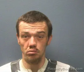 Booking photo from Sevier County, Tennessee