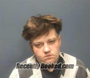 Mugshot of KATIE ANN GIVENS booked in Sevier County, Tennessee on June 15, 2026