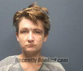 Mugshot of HOLLIE CAROLYNN A FOSTER booked in Sevier County, Tennessee on June 12, 2026