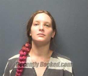 Mugshot of LORI LEANN ANDERSON booked in Sevier County, Tennessee on June 16, 2026
