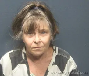 Mugshot of Julia Ann Smegal booked in Sevier County, Tennessee on August 10, 2026