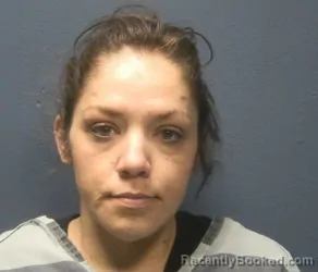 Mugshot of AMBER LEA RENEAU booked in Sevier County, Tennessee on May 4, 2026