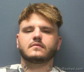 Mugshot of JERRY LYNN GOWER booked in Sevier County, Tennessee on March 26, 2026