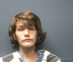 Mugshot of DANTE TRE ALEXANDER MCDONALD