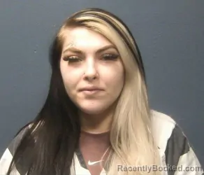 Booking photo from Sevier County, Tennessee