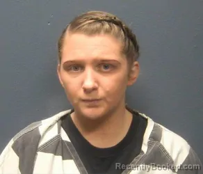 Mugshot of MEKAYLA ROSE LEE booked in Sevier County, Tennessee on April 16, 2026