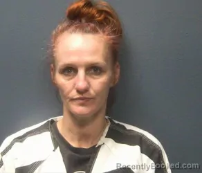 Mugshot of JENNIFER L SPEARS