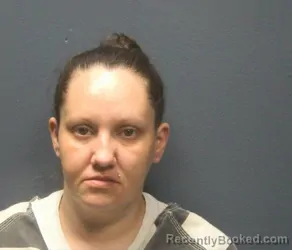 Mugshot of LISA MARIE JAMES booked in Sevier County, Tennessee on April 6, 2026