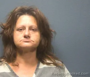 Mugshot of Mary Lynn Roberts booked in Sevier County, Tennessee on August 11, 2026