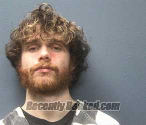 Booking photo from Sevier County, Tennessee