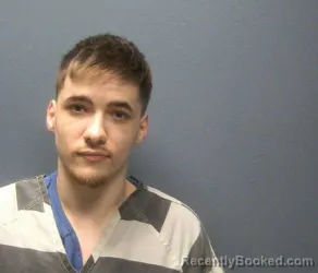 Mugshot of ALEXANDER M FOYE booked in Sevier County, Tennessee on March 27, 2026