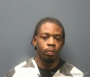 Mugshot of BOBBY MITCHELL booked in Sevier County, Tennessee on March 29, 2026