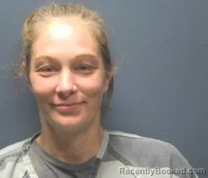 Mugshot of REBECCA JEAN WELLS booked in Sevier County, Tennessee on May 8, 2026