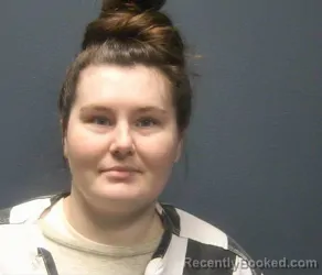 Mugshot of DANIELLE LEIGH LANG booked in Sevier County, Tennessee on May 5, 2026