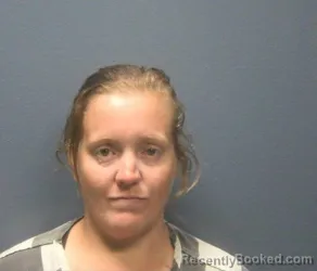 Mugshot of Julia Ann Medders booked in Sevier County, Tennessee on July 29, 2026