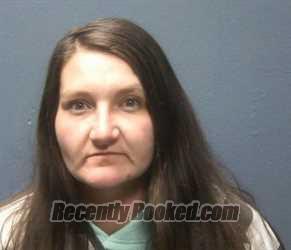 Booking photo from Sevier County, Tennessee