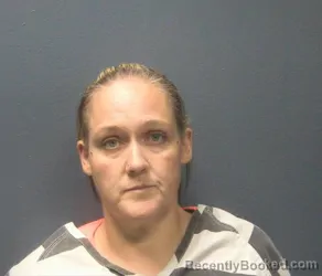 Mugshot of Misty Dawn Minor booked in Sevier County, Tennessee on September 13, 2026