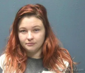 Booking photo from Sevier County, Tennessee