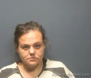 Mugshot of STEPHANIE MICHELLE HAWKINS booked in Sevier County, Tennessee on May 8, 2026