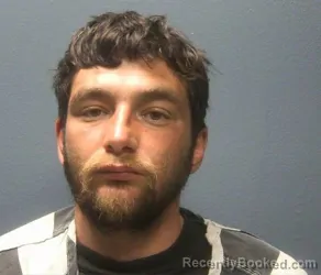 Mugshot of ALEN CLAY ELLIS