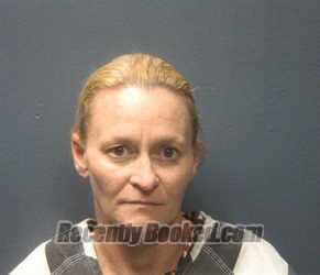 Booking photo from Sevier County, Tennessee