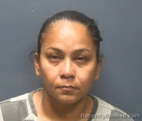 Mugshot of Mary Luz Lizarazo Gomez booked in Sevier County, Tennessee on August 21, 2026