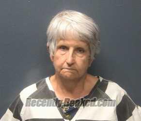 Booking photo from Sevier County, Tennessee