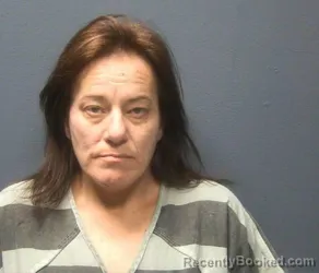 Booking photo from Sevier County, Tennessee